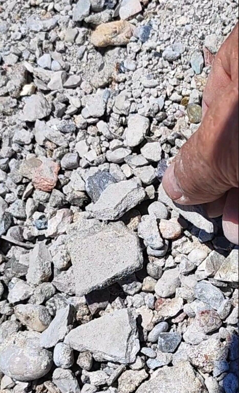 Ludosti iz hdz 1990 2